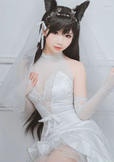 拉布拉多警长146集